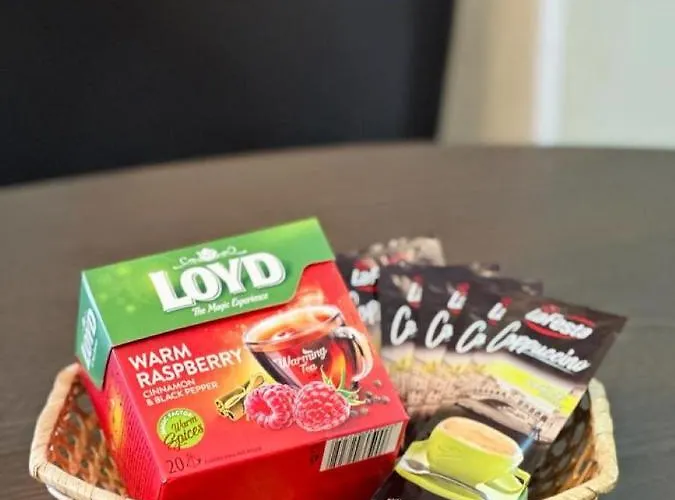 No1 דירה טימישוארה